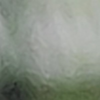 home tutor site photo